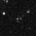 2024znw_image