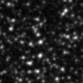 2024zra_image