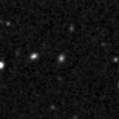 2024zsg_image