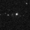2024zsl_image