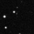 2024zwn_image
