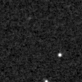 2024zwt_image
