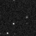 2024zyu_image