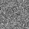 2024zzz_image