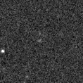 2025aam_image