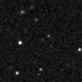 2025acr_image