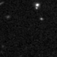 2025adl_image