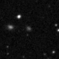 2025agf_image