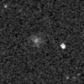 2025agp_image