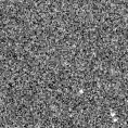 2025aiw_image