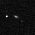 2025ajf_image