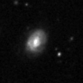 2025alf_image