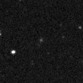 2025amj_image