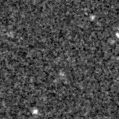 2025ani_image