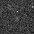2025ara_image