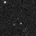 2025asj_image
