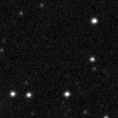 2025asm_image