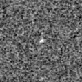 2025ave_image