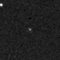 2025avm_image
