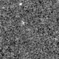 2025axf_image