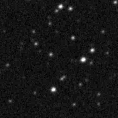 2025ayw_image