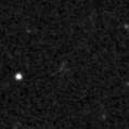 2025bdi_image