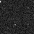 2025bfm_image