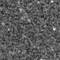 2025bfp_image