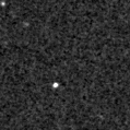 2025bfs_image