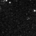 2025bgf_image