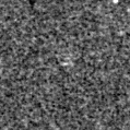 2025bhw_image