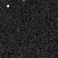 2025bid_image
