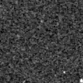 2025biu_image