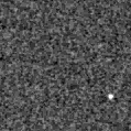 2025blh_image