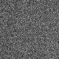 2025bm_image