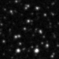 2025bmt_image