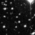 2025btn_image