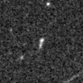 2025bws_image
