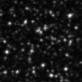 2025ccf_image