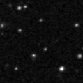 2025cjy_image