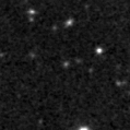 2025det_image