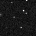 2025dzx_image