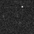 2025ebo_image