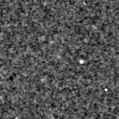 2025ecy_image