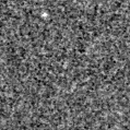 2025eip_image
