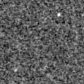 2025ejr_image