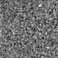 2025ejs_image