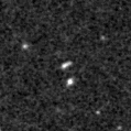 2025ell_image