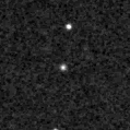 2025elq_image