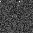2025ena_image